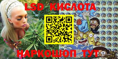 шишки Беслан