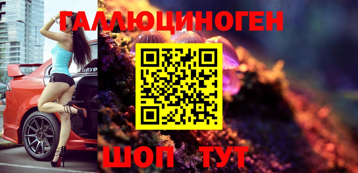 Псилоцибиновые грибы мицелий Кимовск