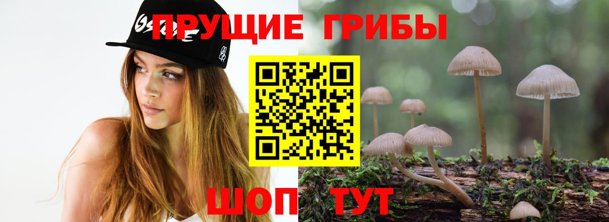 Галлюциногенные грибы GOLDEN TEACHER  Вход с VPN  Псилоцибиновые грибы Magic Shrooms  Кимовск 